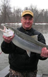 River Steelhead