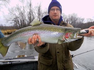 Manistee River Steelhead